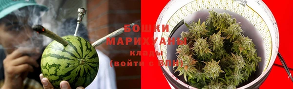 ешки Инта