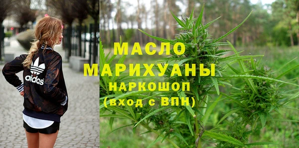 ешки Инта