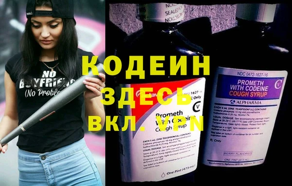 ешки Инта