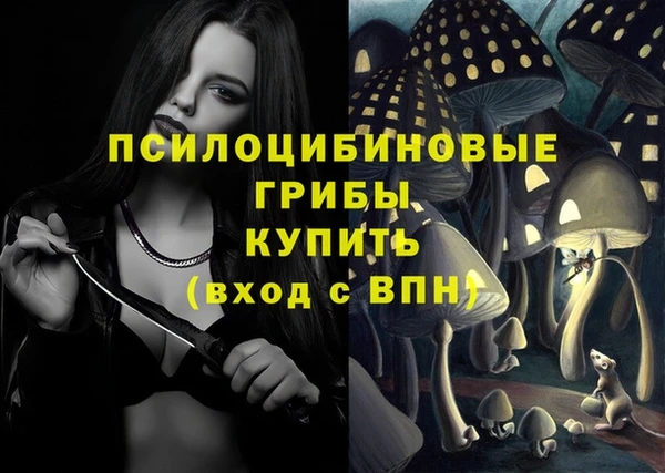 ешки Инта