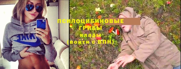 мяу мяу кристалл Инсар